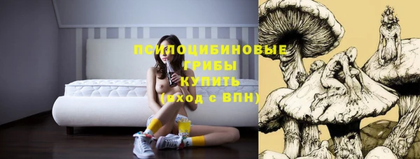 каннабис Алексеевка