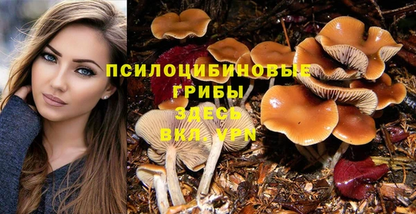 каннабис Алексеевка